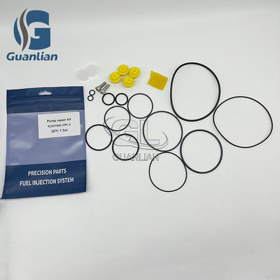 Kit de reparação de bombas de combustível 891866-Cp5-2 para a bomba Cp5 da Bosch 0445020126
